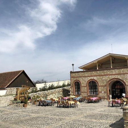 Conacul Maria Theresa Orlat Dış mekan fotoğraf
